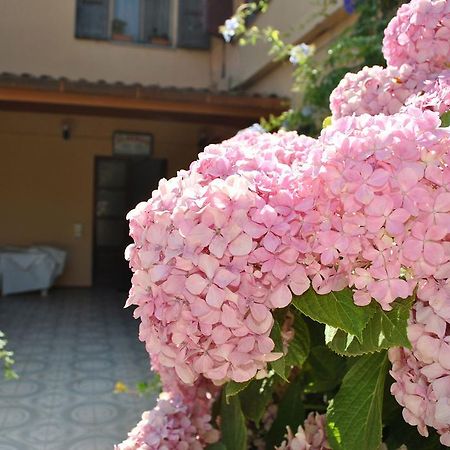 Hotel La Pineta Arborea Εξωτερικό φωτογραφία