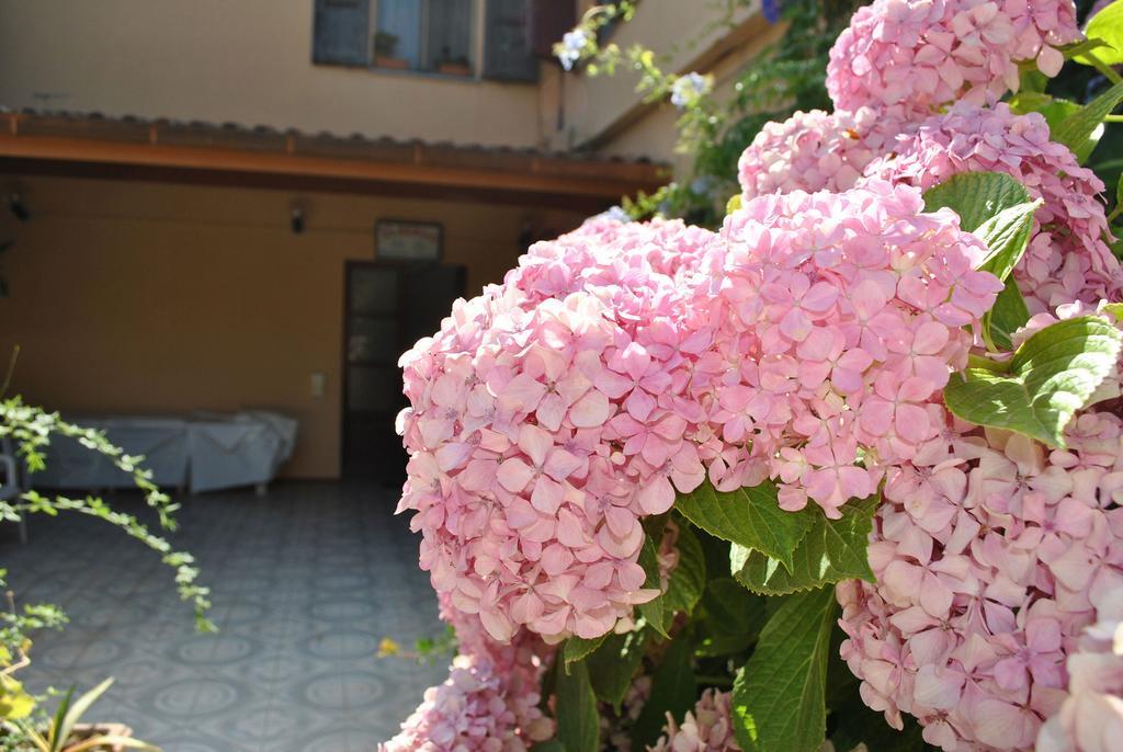 Hotel La Pineta Arborea Εξωτερικό φωτογραφία